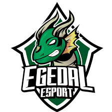 team logo