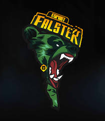 team logo