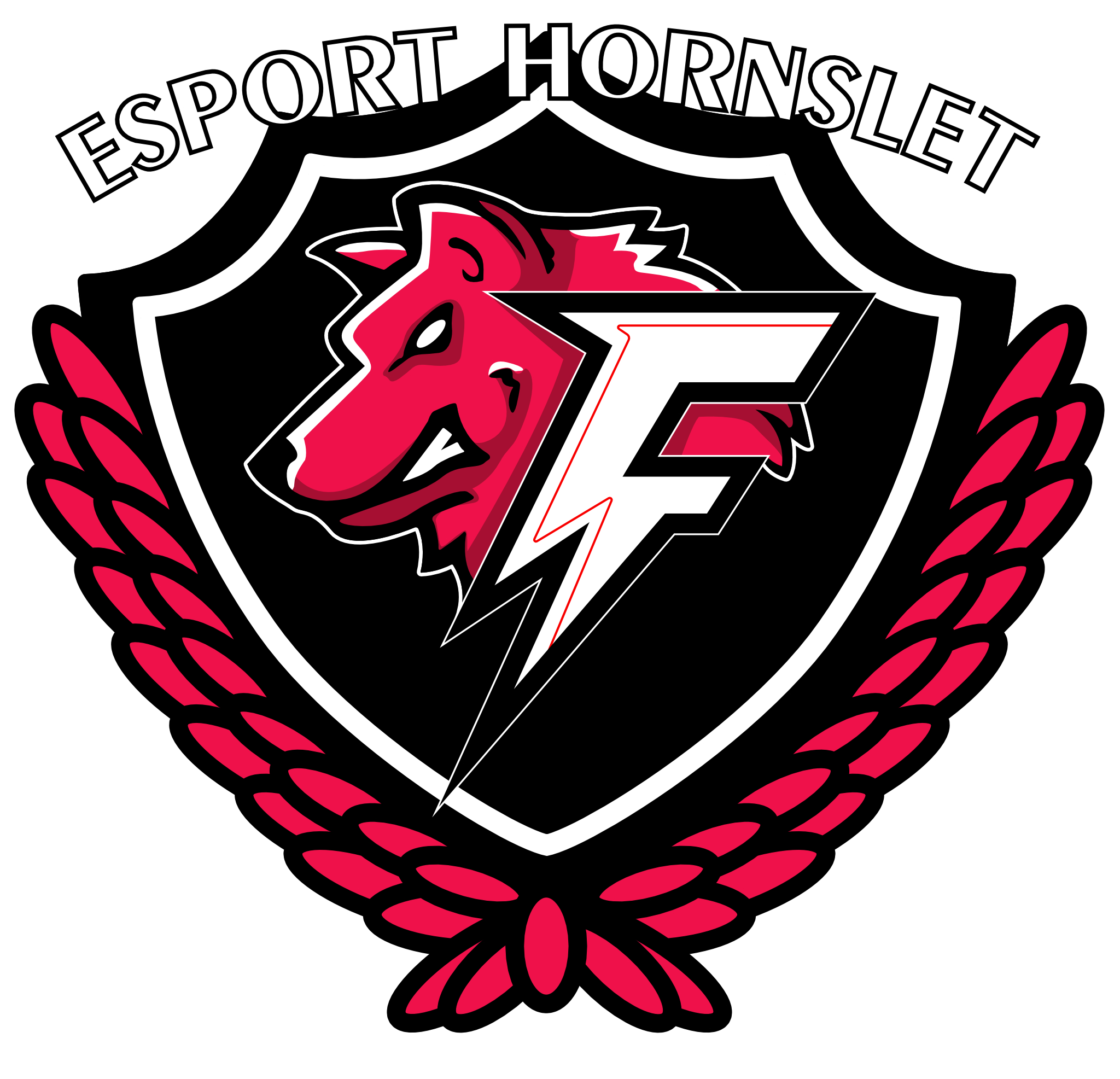 team logo