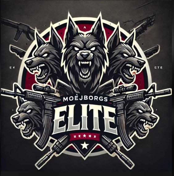 team logo