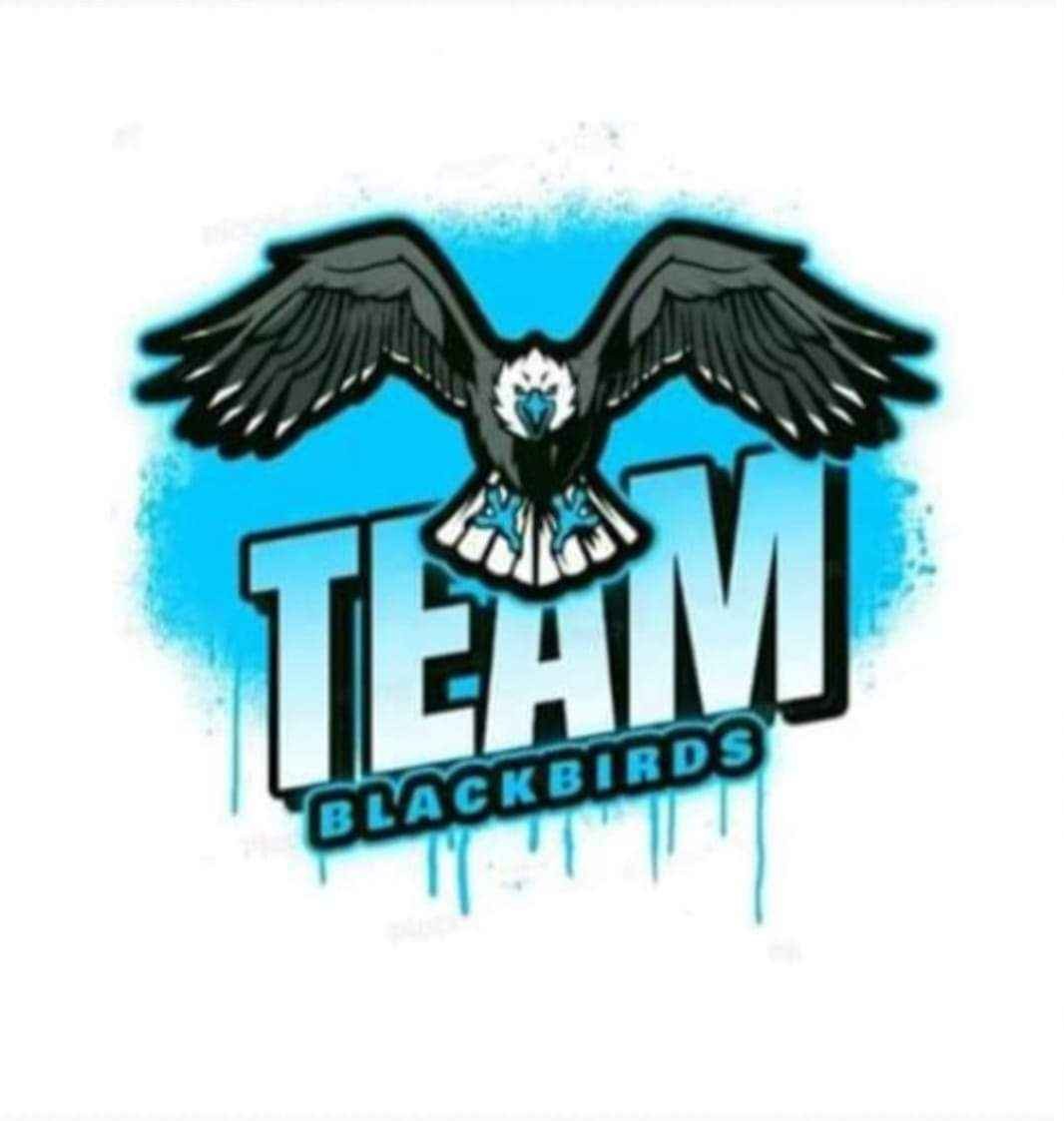 team logo