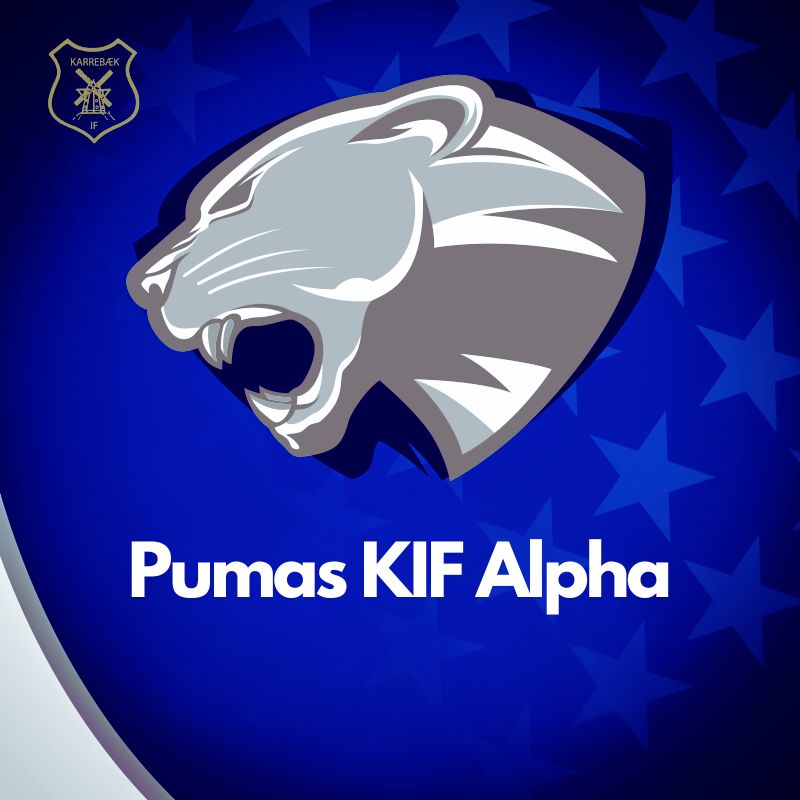 team logo