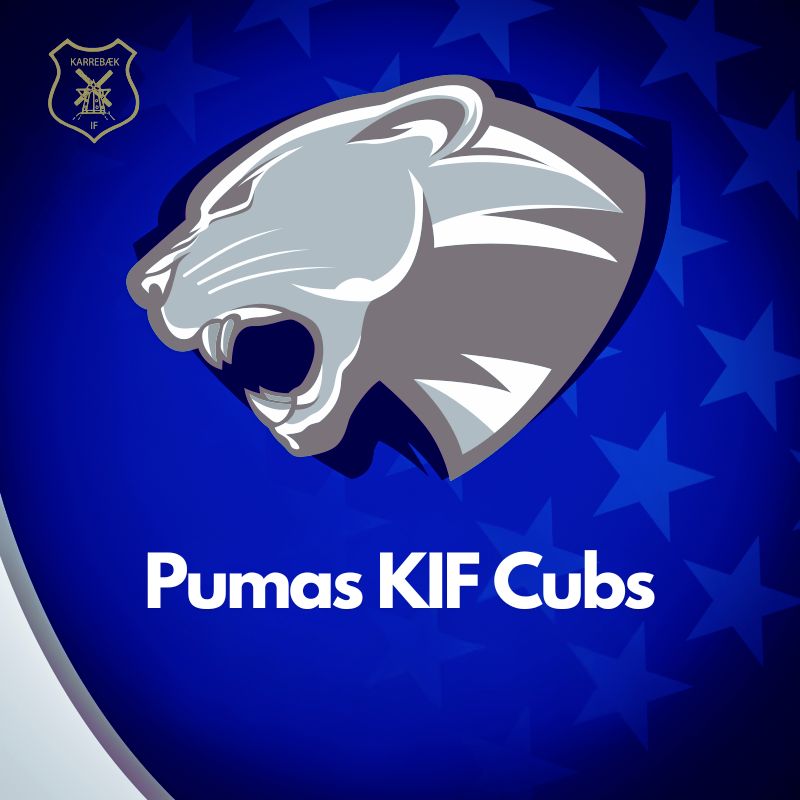 team logo
