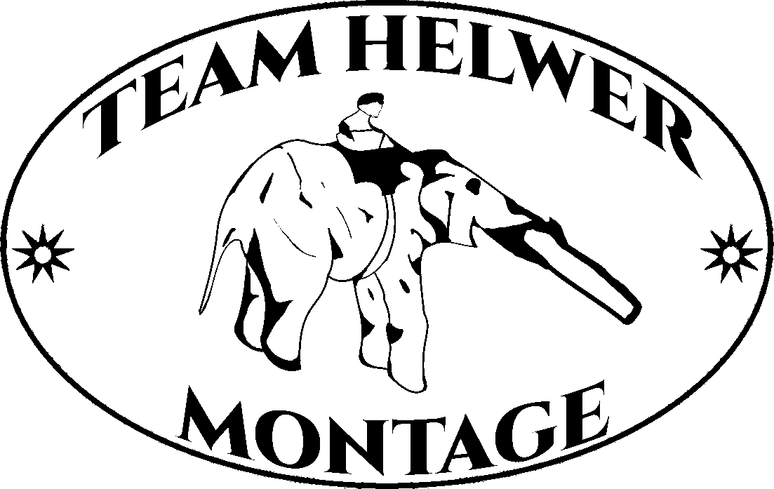 Team Logo