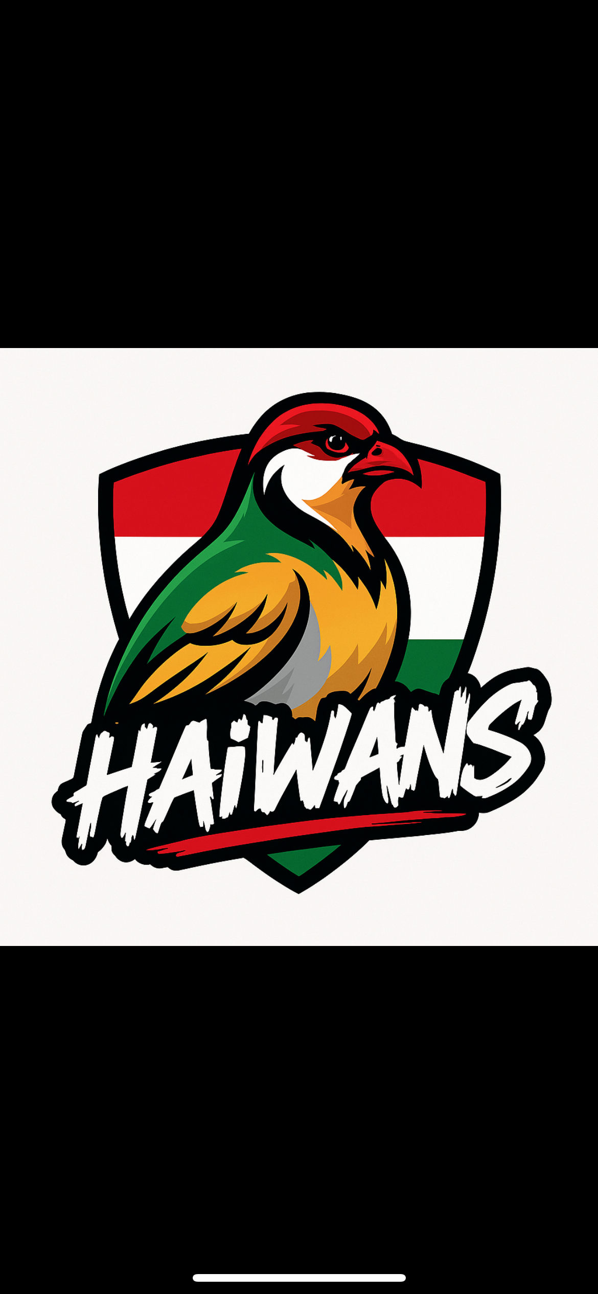 Team Logo