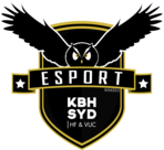 team logo