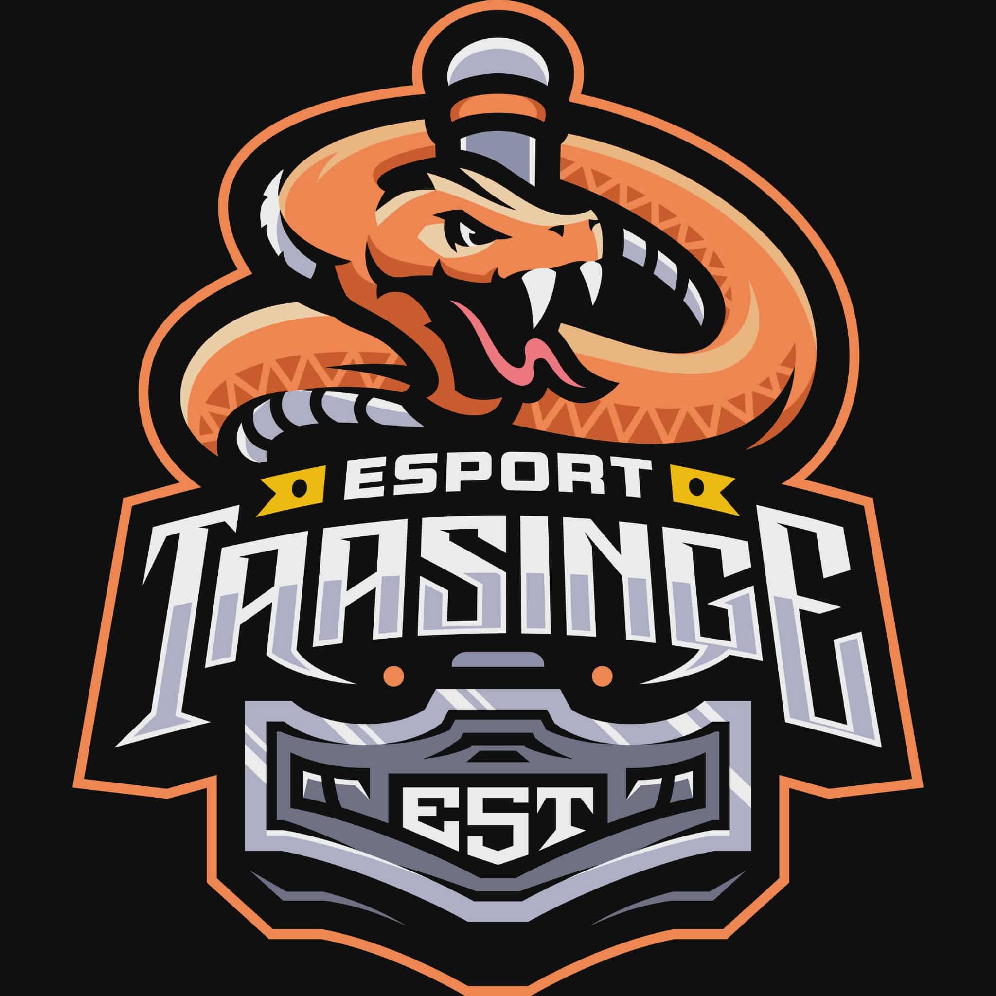 Team Logo