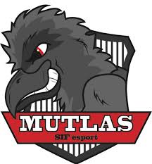 team logo